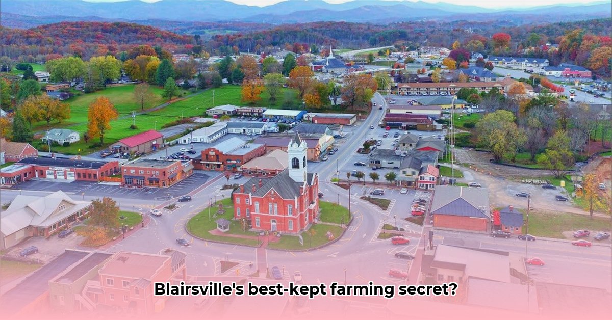 tractor-supply-blairsville